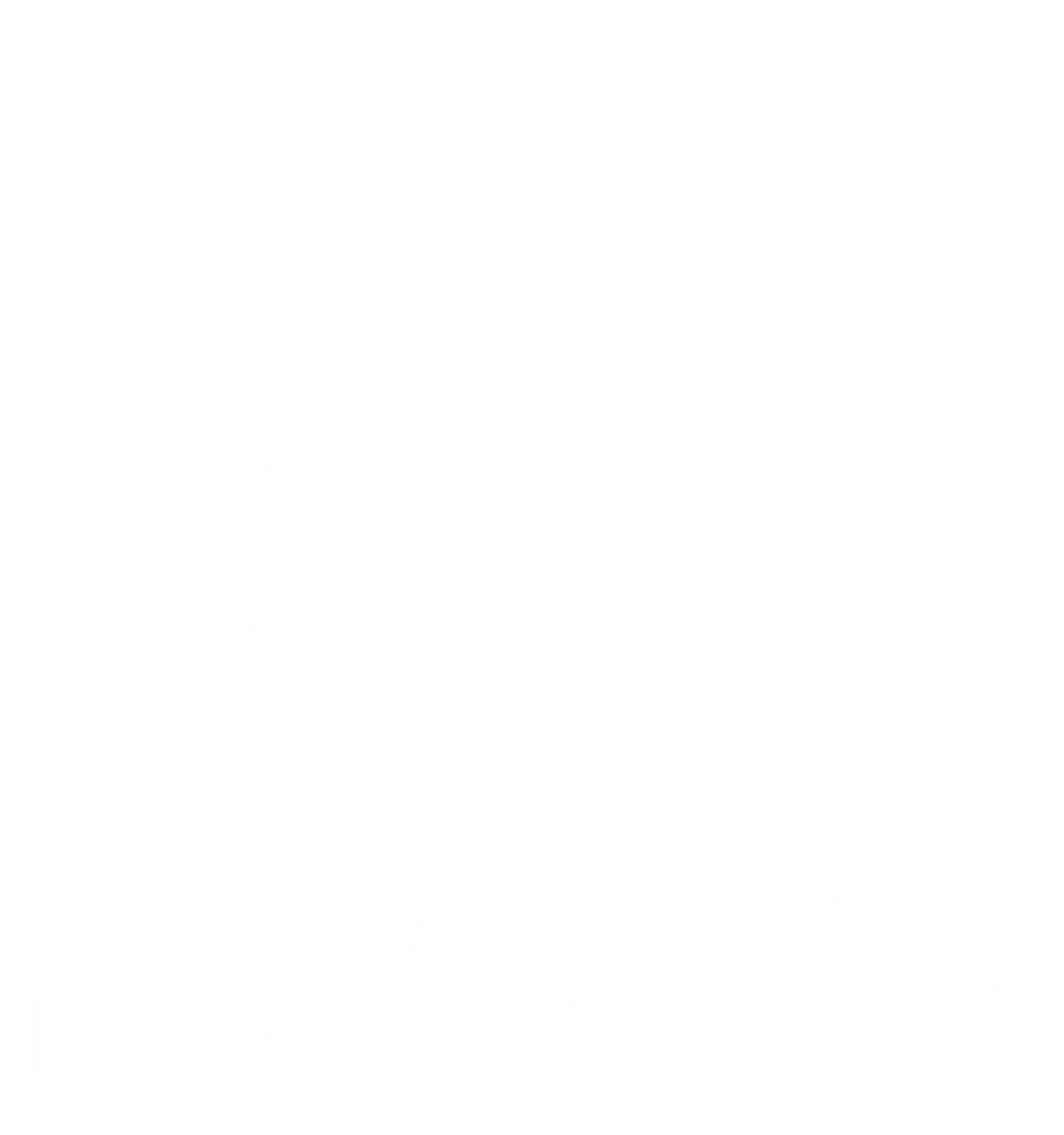 اكس ميديا